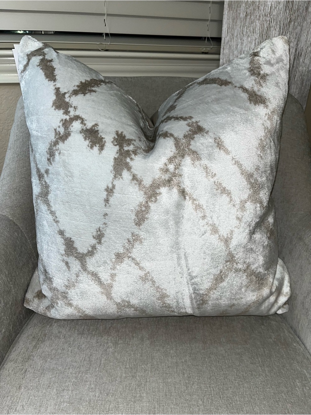 1-CALDEIRA LIXURY VELVET ABSTRACT DESIGN DECORATIVE PILLOW